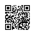 530291074 