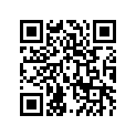 530441311 