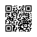 53065-0015-33P 