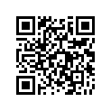 53065-0054-17L シ-トカバ-,オレンジ