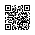 53065-0064-51A シ-トカバ-,グレ-