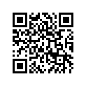 53065001528G 