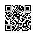 53065002521Q 