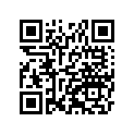 53066036041D 
