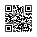 53100-041-605ZM Handle comp*r110*