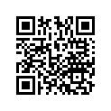 53105-KGA-B60 Weight, With Bush