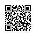 53105-KT8-000 Грузик руля