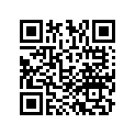 53106-GFC-950 Stay