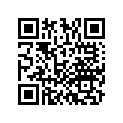53106-KAK-900 STAY,L.FR.WINKER