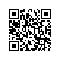 53110-16400 