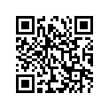 53110-17201-000 