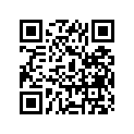 53110-25600-737 