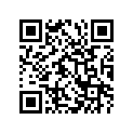 53110-45460-13Z 
