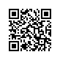 53111-04200-25G 