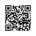 53111-06F10-Y0W 