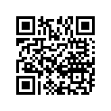 53111-16G11-YHH 