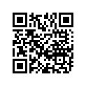 53111-17K00-YVZ 