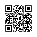 53111-24300-163 