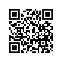 53111-26100-163 
