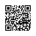 53111-30600-737 