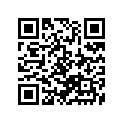 53111-38000-737 