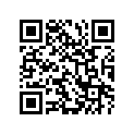 53111-44B40-22P 
