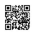 53111-44B40-28V 
