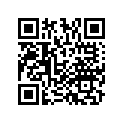 53111-MFF-D00 