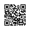 53115-Z11-000 RUBBER,GRIP