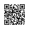 53118-24300 
