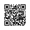 5312106 BTMTPAK,FLHTCI,DRILLE