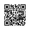 53131-VE1-R00ZA STAY,R.*NH105*