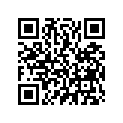 53136-VE1-R00ZA STAY,L.*NH105*