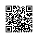 53165-ZZ3-000 RUBBER,GRIP