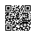 53173-397-630 COV.R.HNDL.LEVER