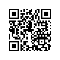 53175196000 LEVER,R.STRG.HNDL