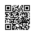 53175431670 LEVER, HANDLE