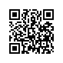 53176-GBL-870 BOOT