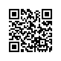 53203-HC0-670ZA Cap *pb198*