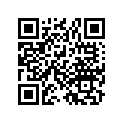 53230-110-315SG Bridge *a1*