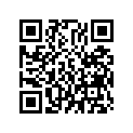 53230-148-671B Bridge *nh1* (black)