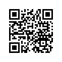 53230-449-750ZA Bridge *nh105* (mat Black)