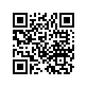53231-110-791SG Bridge *a1*