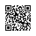 5343350 Runner Shoe