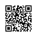 5344743 Shock Support
