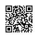 5345652 LUGGAGECARRIERSPACER