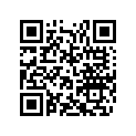 537576 Support