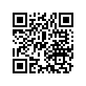 53768-250-000 O Ring  5pk