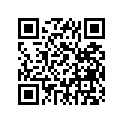 538-14453-00-00 