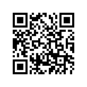 538-21511-00-00 